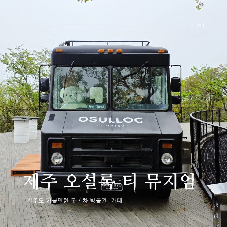  제주도 오설록 티 뮤지엄 녹차밭, 전망대, 예약