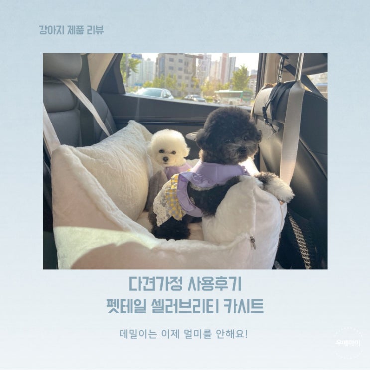  다견가정이 선택한 강아지카시트, 펫테일 셀러브리티 카시트