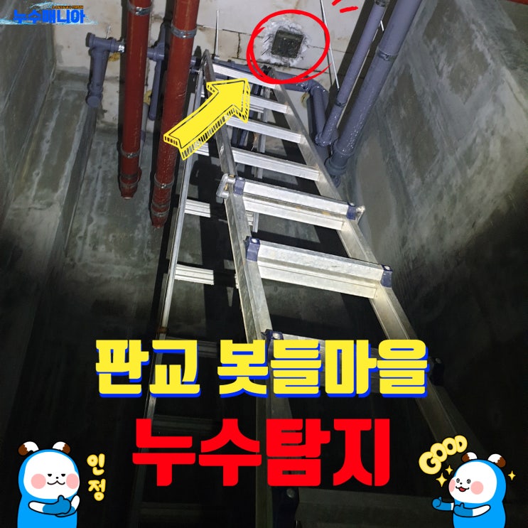 판교 봇들마을 1단지 아파트 누수 보일러 배관 누수탐지 해결 방법