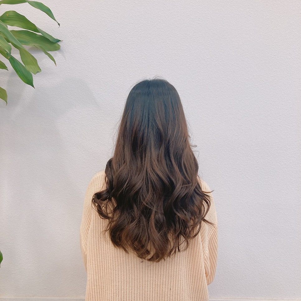 늘솜 사진 6