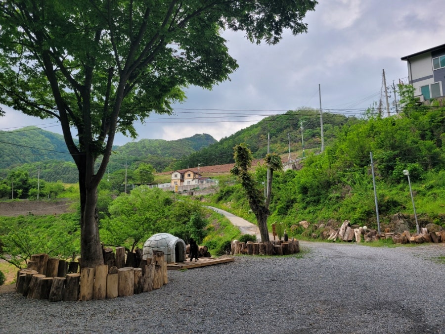 뚜벅이하우스펜션 사진 2