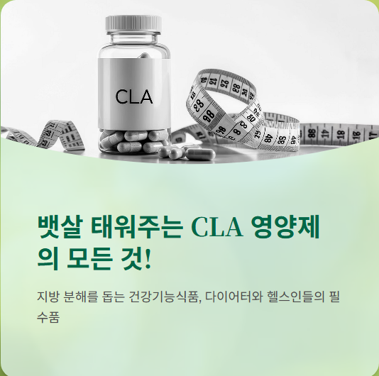  CLA 효과, 가격, 복용법, 후기 까지 총정리!