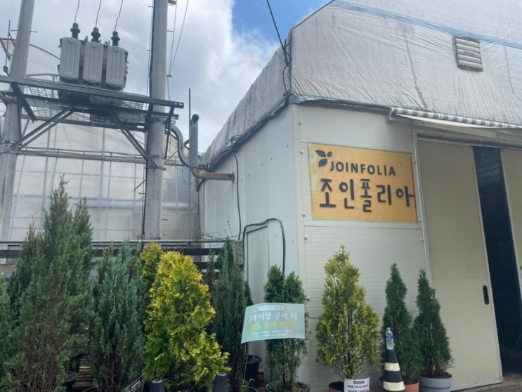  파주 데이트코스 추천｜조인폴리아 식물 쇼핑 후 운정 양조장 막걸리 한잔!