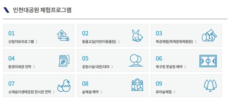  인천수목원 주차 꿀팁부터 체험까지 싹 정리!