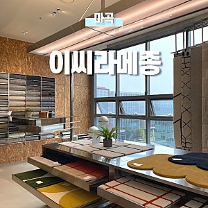[마곡] 러그 카페트 리빙 브랜드 이씨라메종 쇼룸 예약 매장 방문 후기