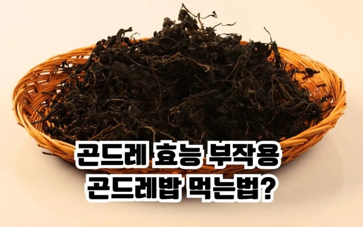  곤드레 효능 곤드레밥 곤드레나물 고려엉겅퀴 부작용