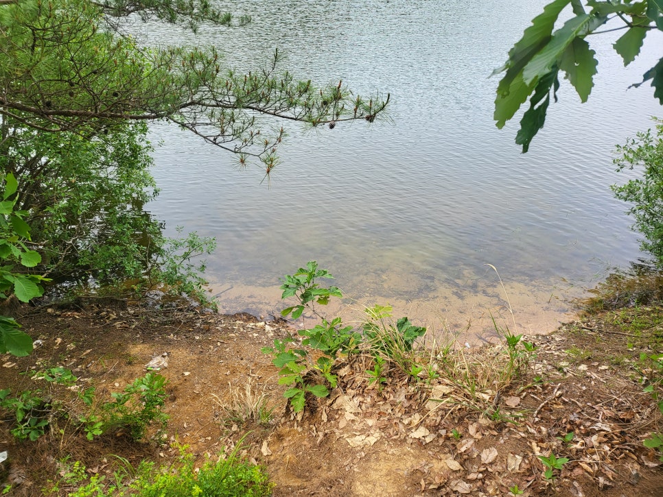 산호지 사진 2