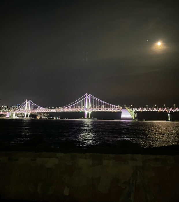  블챌)동네 스팟 산책길 추천 광안리러닝코스