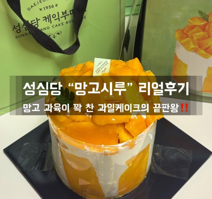  대전 성심당 망고시루 솔직 후기 ! 과일 케이크 맛집 인정?
