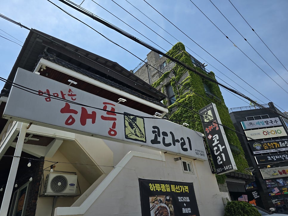 엄마손해풍코다리 사진 1