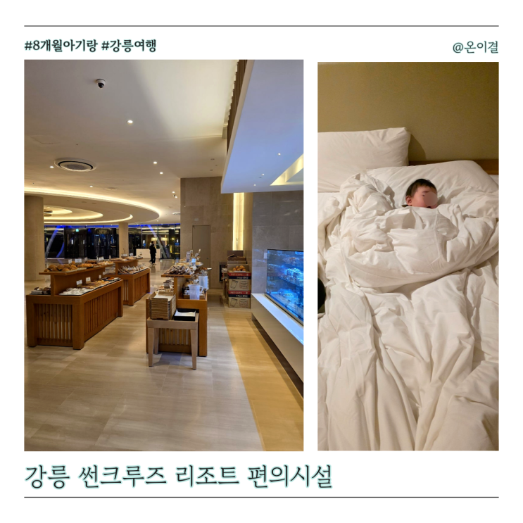  정동진 여행 썬크루즈 호텔 편의시설 정보 베이커리, 키즈룸, 노래방, 헬스장