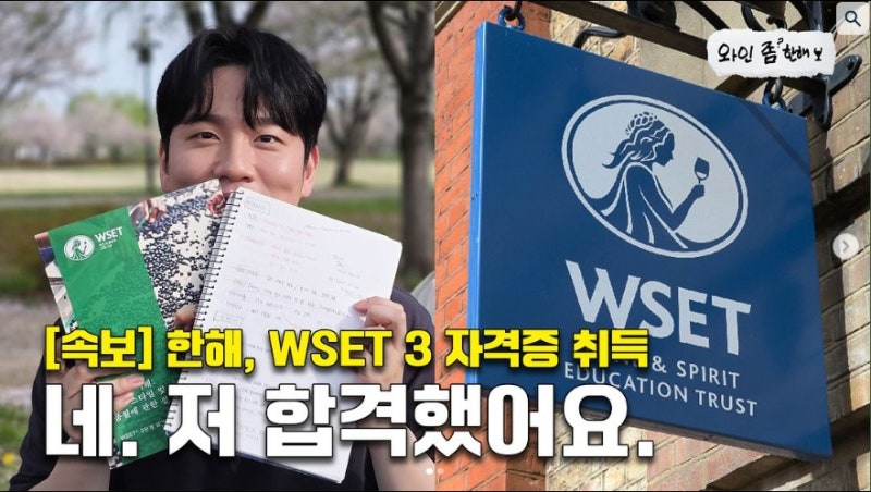 연예인 최초 WSET 소믈리에 자격증 3급 취득한 가수 한해