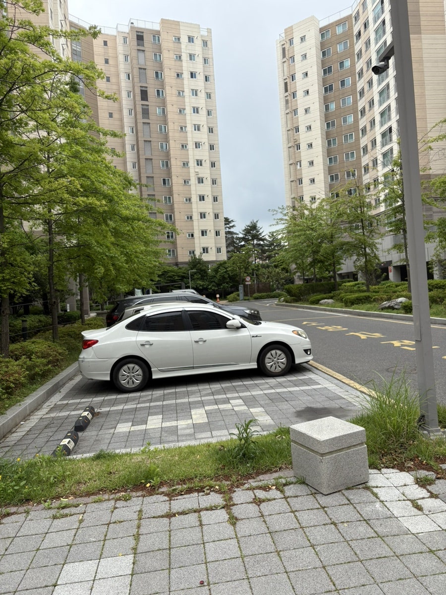 샐피 울산약사점 사진 2