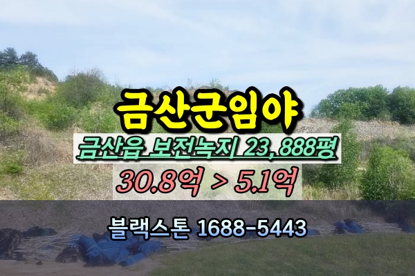  금산군임야 경매 금산읍 하옥리 2만평 5억대