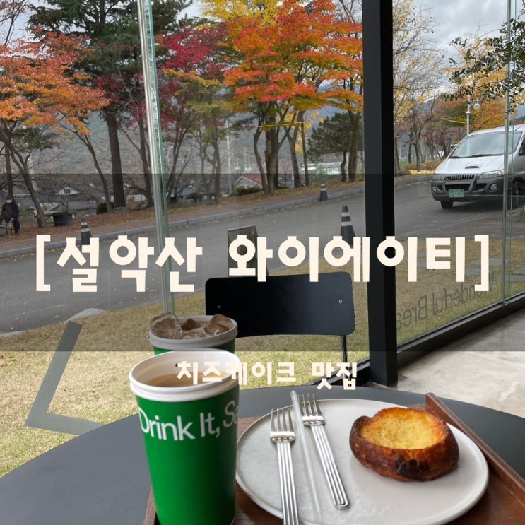  속초 설악산 초입, 다시 찾게 되는 감성카페 — 치즈케이크 맛집 ‘YAT’