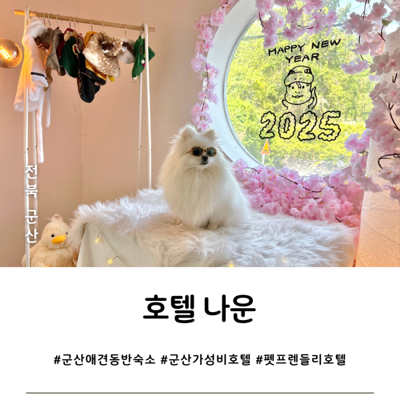 사진 10