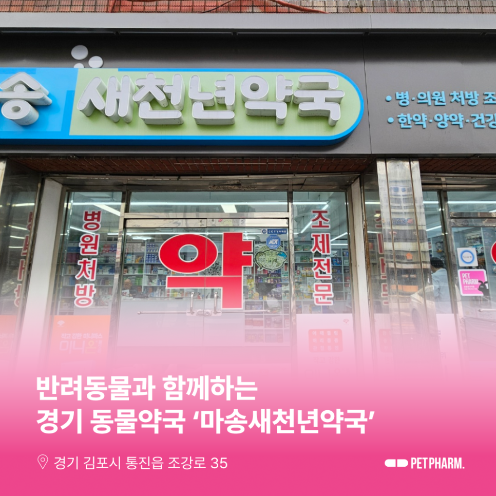 마송새천년약국 사진 1