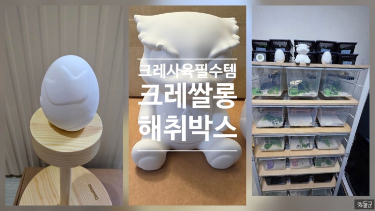  크레 사육 추천템 크레쌀롱 해취박스(탈취오브제 냄새 없애는 법)