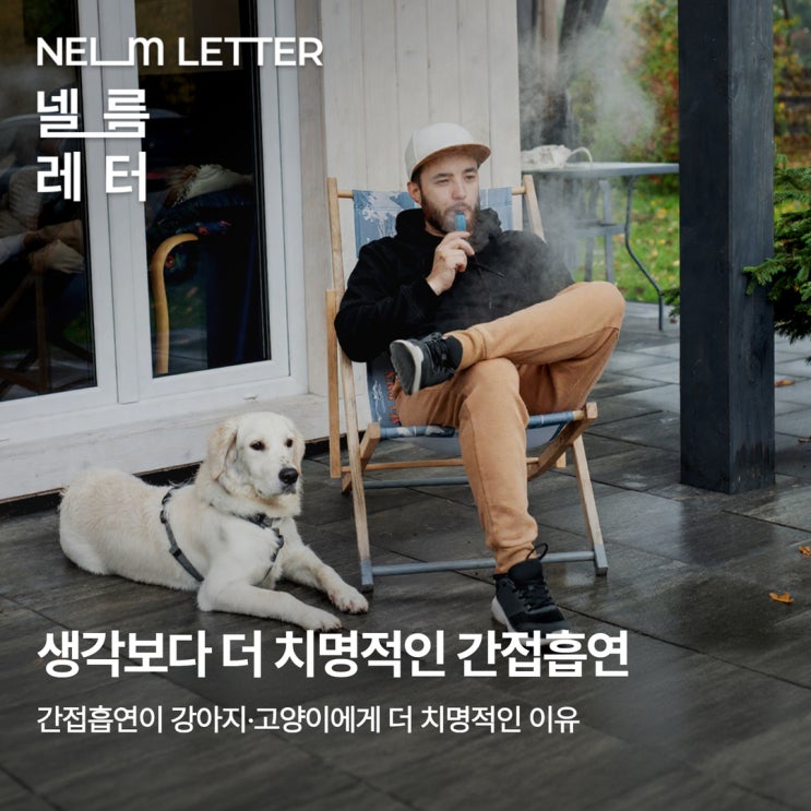  [NEL:톡톡] 5월 31일은 세계금연의 날, 금연하고 계신가요? 반려동물의 간접흡연은 사람보다 더 위험합니다