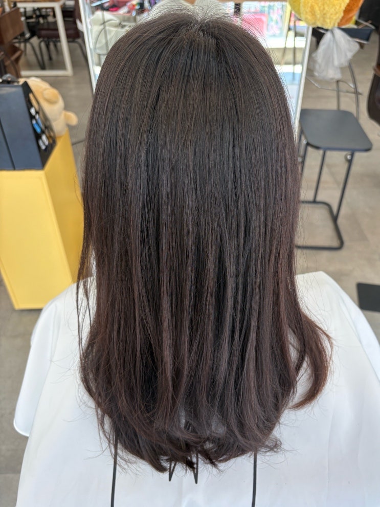  분당 서현역미용실 어반트랜드 본점:) 일리아클리닉 후기 이화디자이너