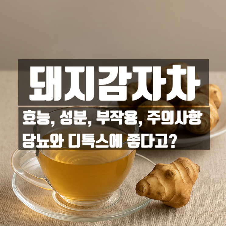  돼지감자차 효능 성분 부작용 총정리 – 당뇨에 좋은 디톡스차