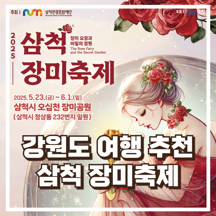  강원도 봄꽃 명소 2025 삼척 장미축제 여행코스 소개