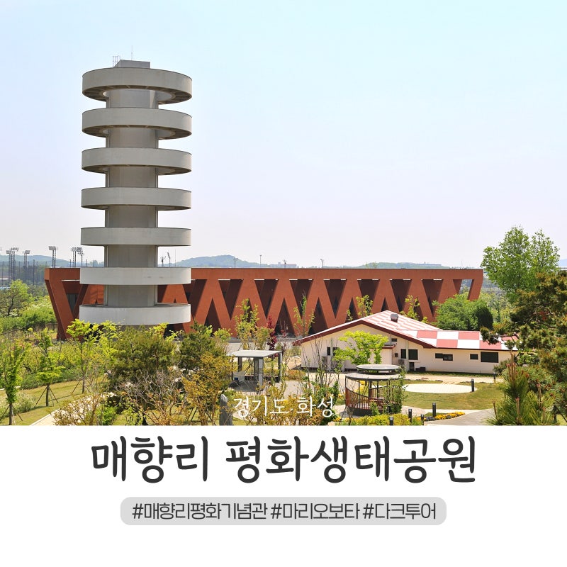 사진 7