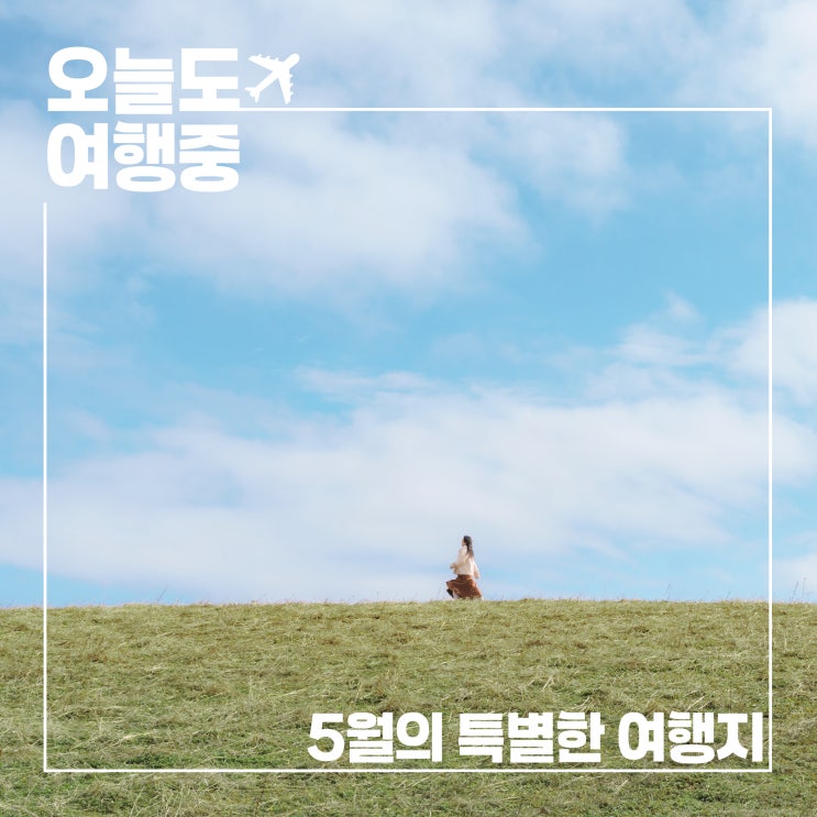  5월에 떠나는 제철 미식 여행, 어디로 갈까?
