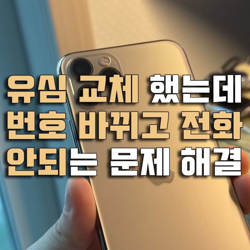 아이폰 유심 교체 후 전화번호 바뀜 + 전화 연결 안됨(먹통) 문제 해결 방법
