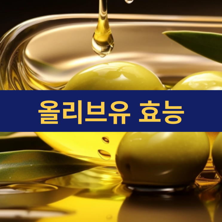  올리브유 효능 | 올리브오일 효능 | 칼로리 먹는 법 보관법 | 올리브유 종류
