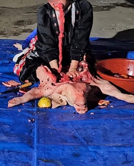 70(여)대 <b>무속인</b>,<b>조카</b> 숯불로 <b>살해</b> 구속..