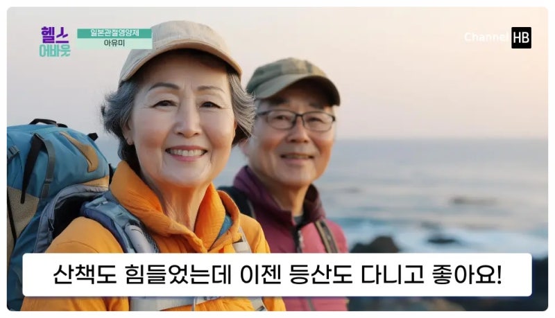일본관절영양제 아유미 효능이란?