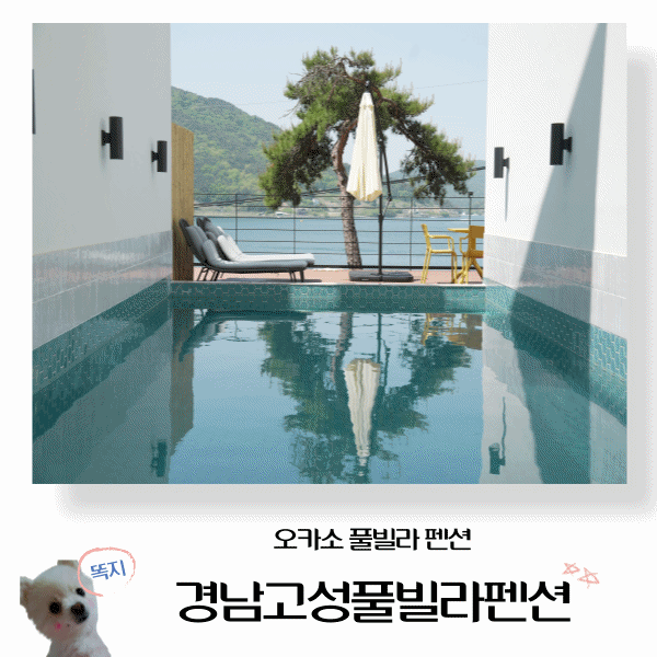  경남고성풀빌라펜션 가족여행으로 가기 좋은 오카소 풀빌라 펜션