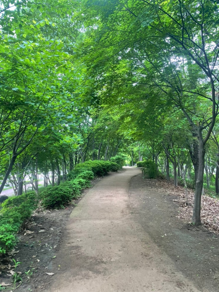  [인천 송도]산책길 – 요가와 만보 걷기로 채우는 일상