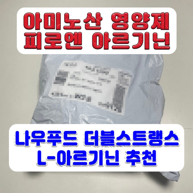 아미노산 영양제 추천 :: 나우푸드 아르기닌 1000 500mg 타블렛 캡슐
