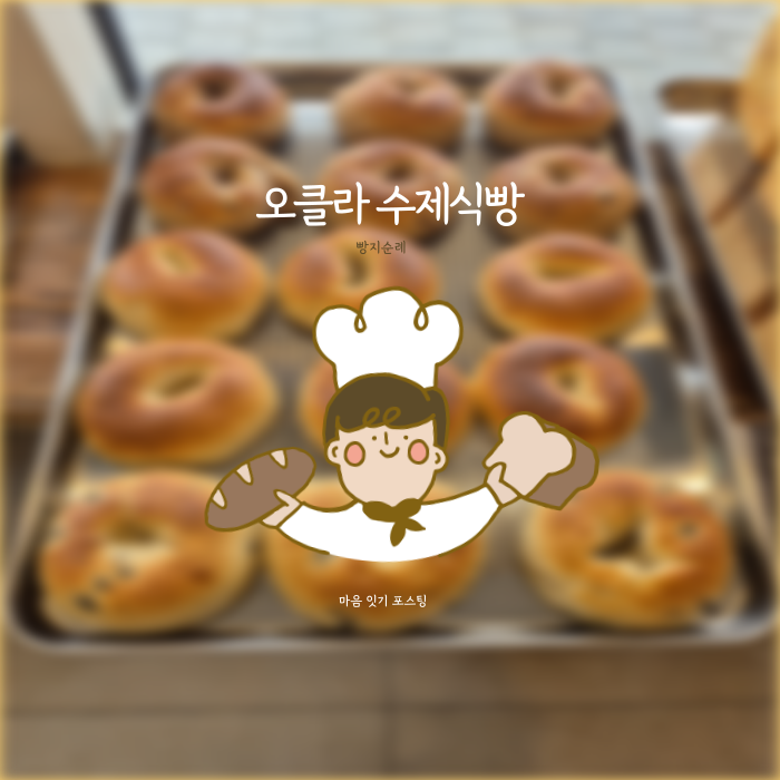  조용한 골목에서 발견한 빵 한 조각의 행복  | 오클라 수제식빵 송파점