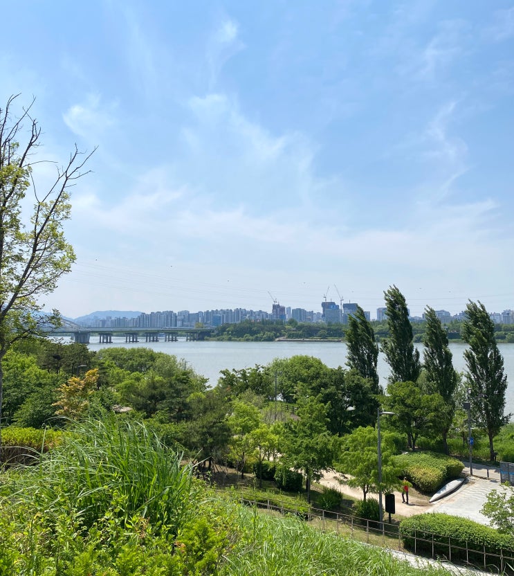  서울 망원동 장미꽃 망원한강공원 장미정원 망원정터 위치 가는법 놀거리 : 망원한강공원 주차장 주차요금