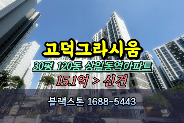  고덕그라시움 경매 30A평 120동 [2024타경57276]