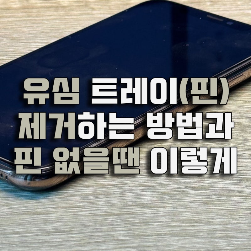 아이폰 유심 빼는법 유심핀 없을때 해결 방법
