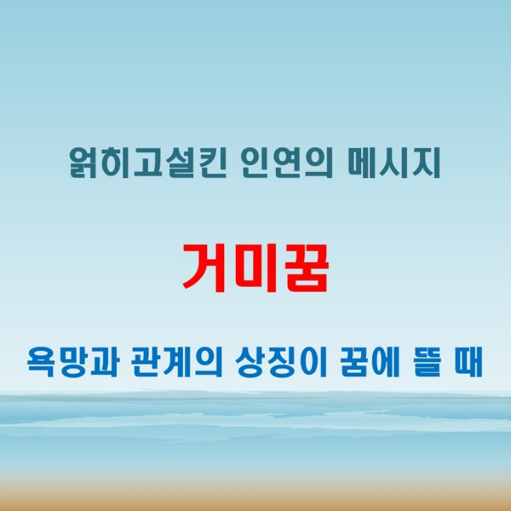  거미꿈 해몽 인연과 욕망이 얽히는 관계의 상징