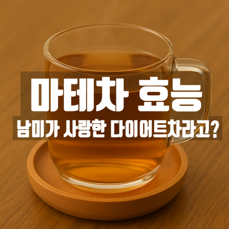  마테차 효능 성분 부작용 총정리 – 남미가 사랑한 다이어트 허브차