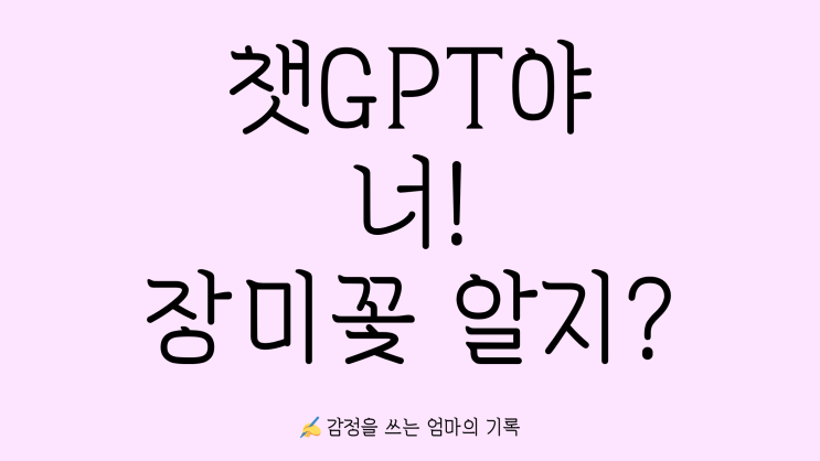   감정을 정리하는 법, 장미처럼 피어날 수 있을까?