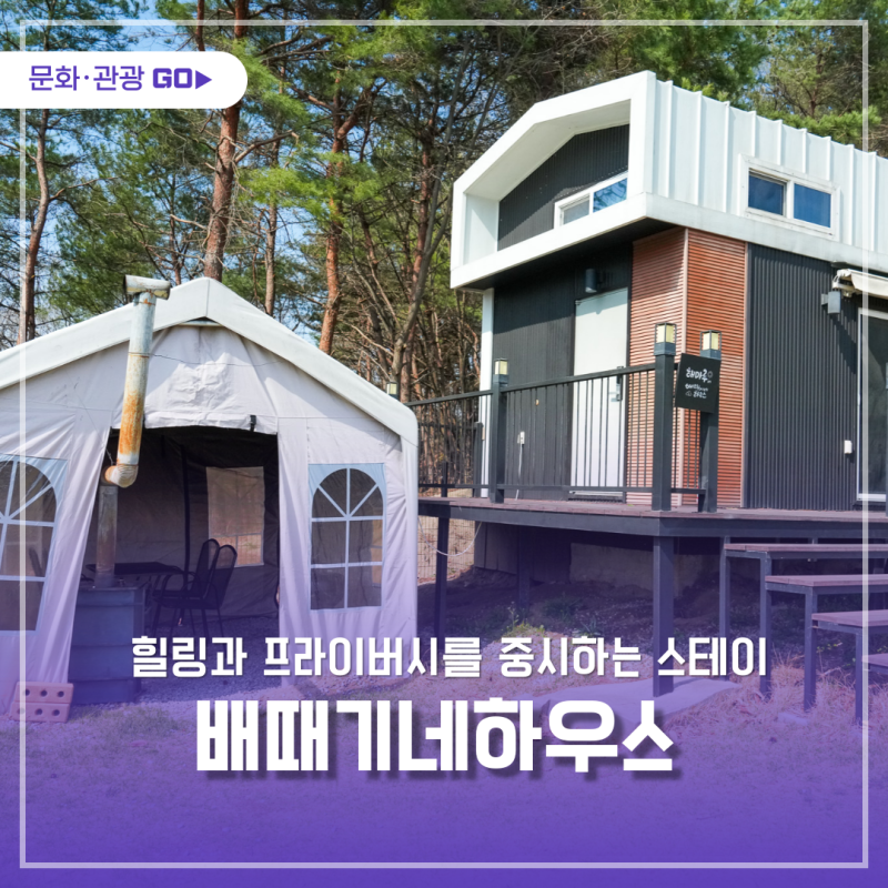 사진 3