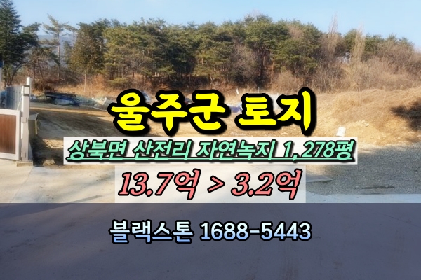  울주군 상북면 토지 경매 개발부지 1천평 3억대