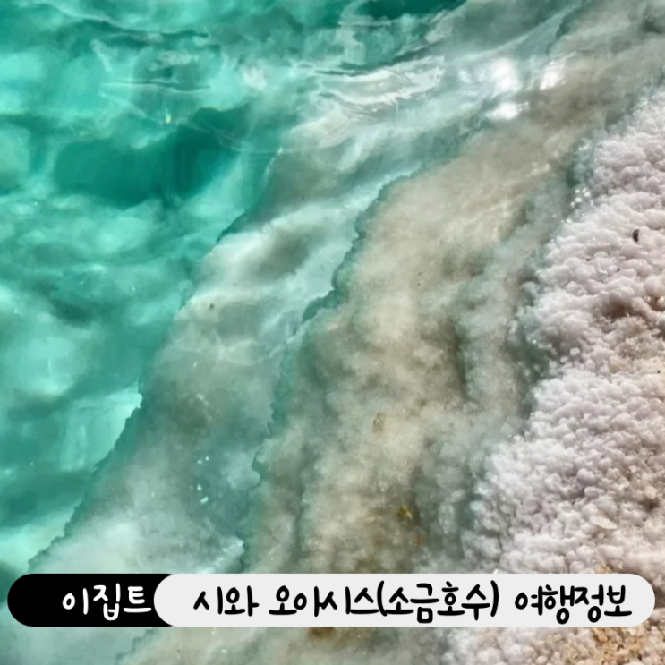  이집트 자유여행 시와 오아시스 소금호수 여행 정보 (일일투어 체험 링크포함)