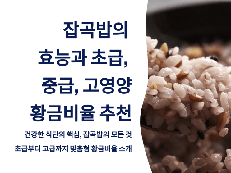  잡곡밥의 효능과  초급, 중급, 고영양 황금비율 추천