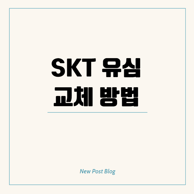 SKT 유심 교체 방법과 주의사항 갤럭시 아이폰 알뜰폰 사용자까지 정리
