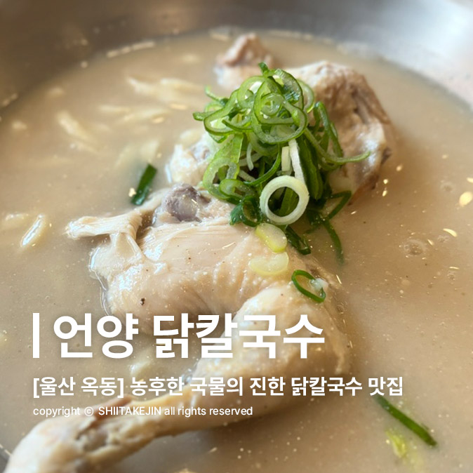  [울산 옥동 맛집] 농후한 국물의 울산대공원 근처 닭칼국수 맛집, 언양닭칼국수 옥동점