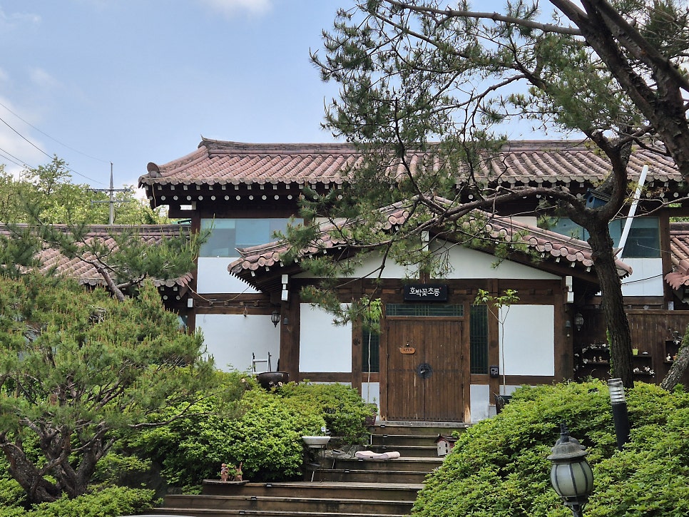호박꽃초롱 사진 6