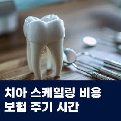  치아 스케일링 비용 보험 주기 시간 정리해드려요